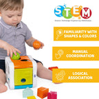 Chicco formabox m hamri