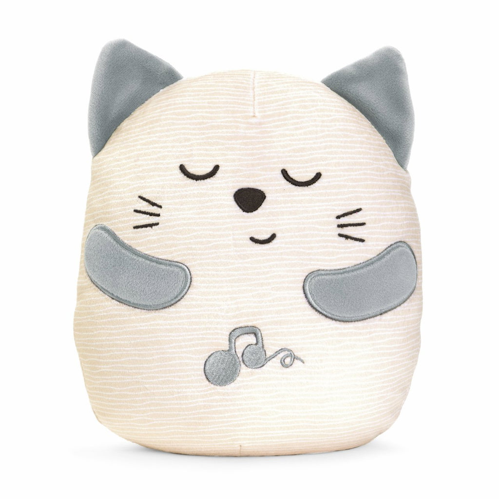 Chicco fyrsta kisan