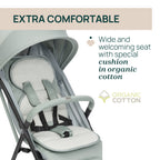 Chicco Taormina kerra Sage