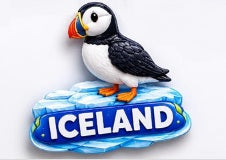 GFI segull Iceland lundi